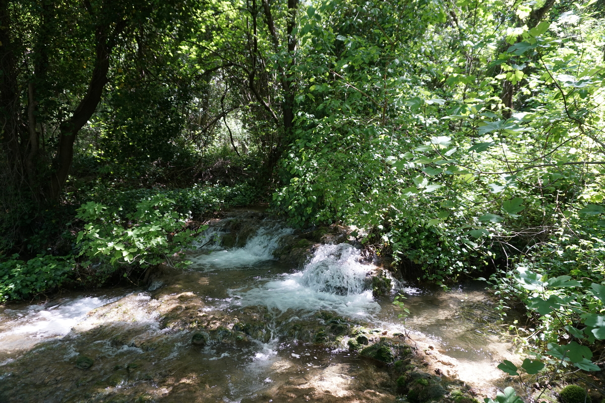 Picture Croatia Krka National Park 2016-04 115 - Rain Season Krka National Park