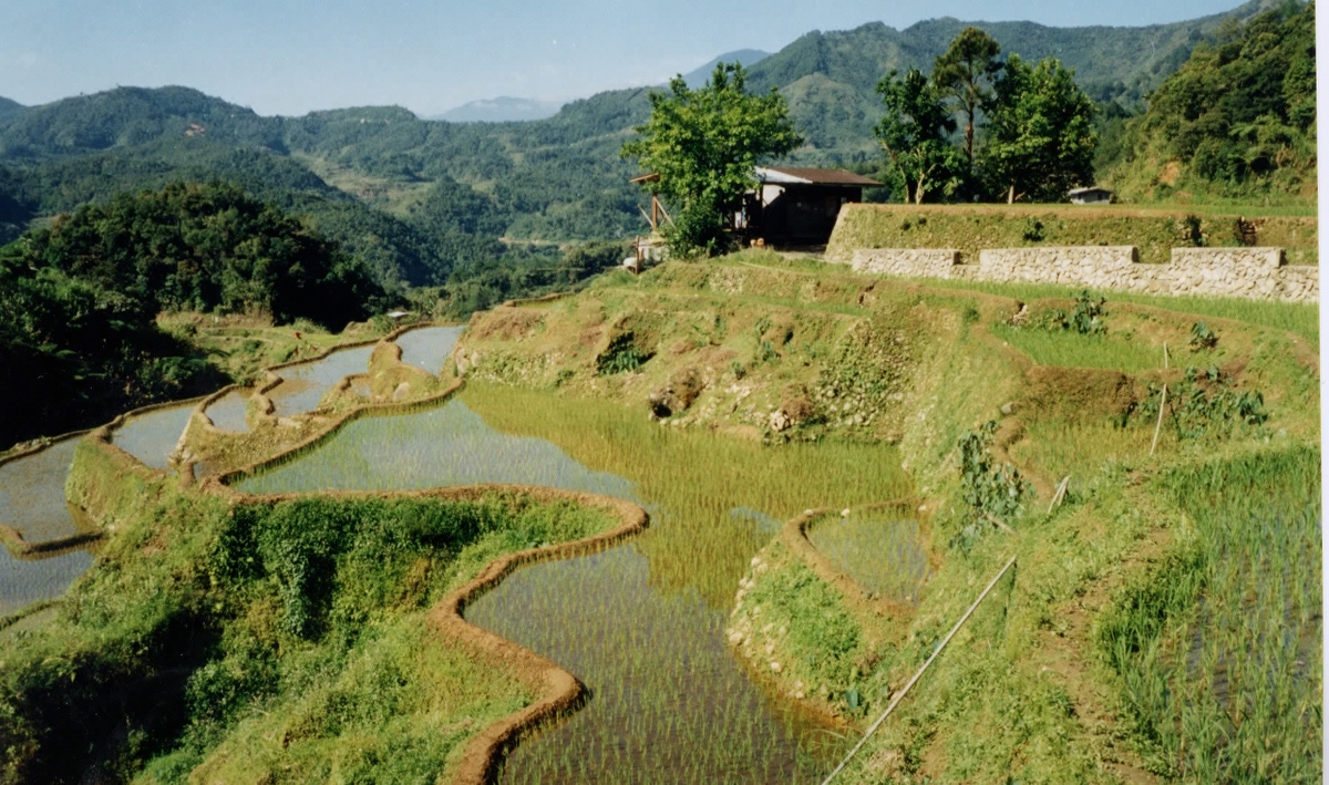 Picture Philippines Banaue 1997-03 7 - City Banaue