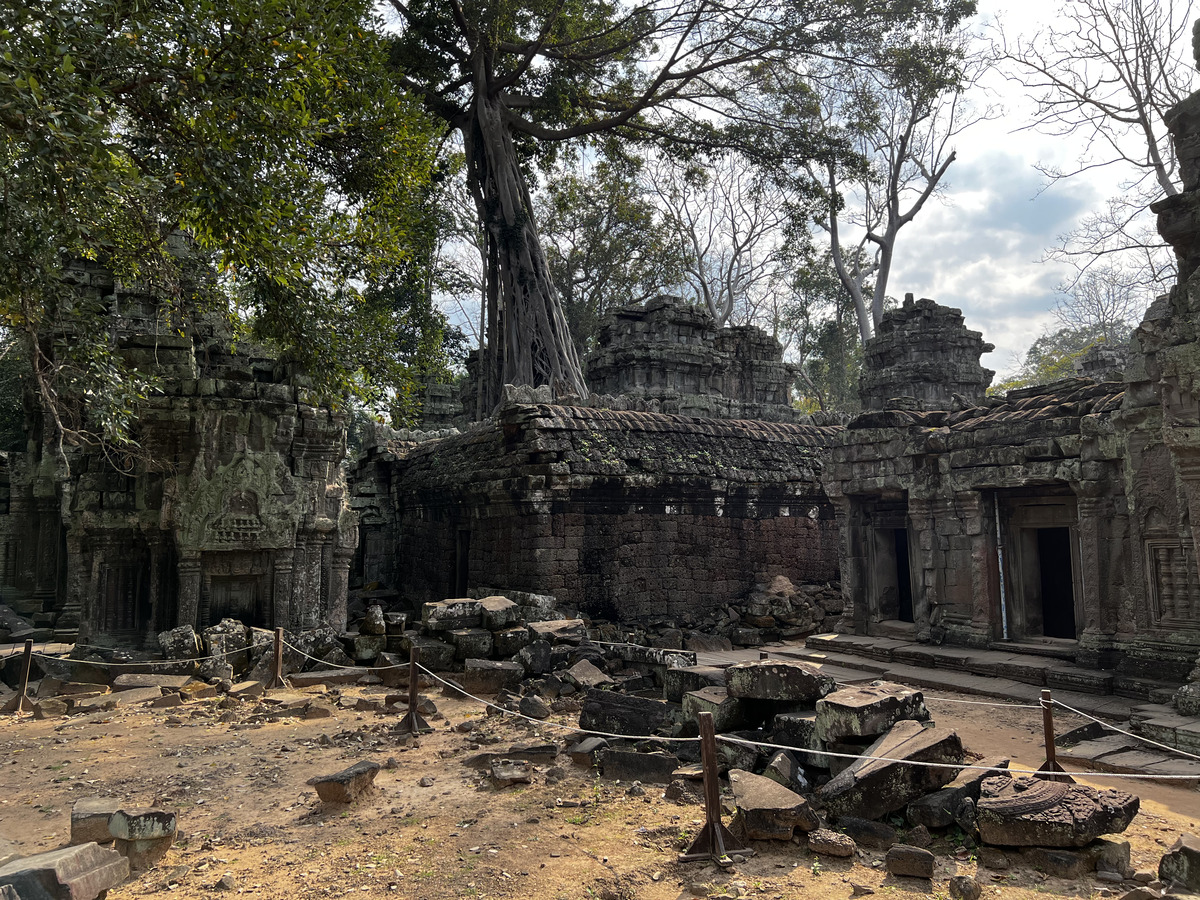 Picture Cambodia Siem Reap Ta Prohm 2023-01 16 - Cheap Room Ta Prohm