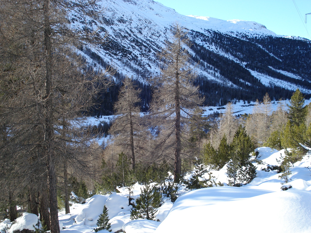 Picture Swiss From Pontresina to Lago Bianco 2007-01 10 - Monuments From Pontresina to Lago Bianco