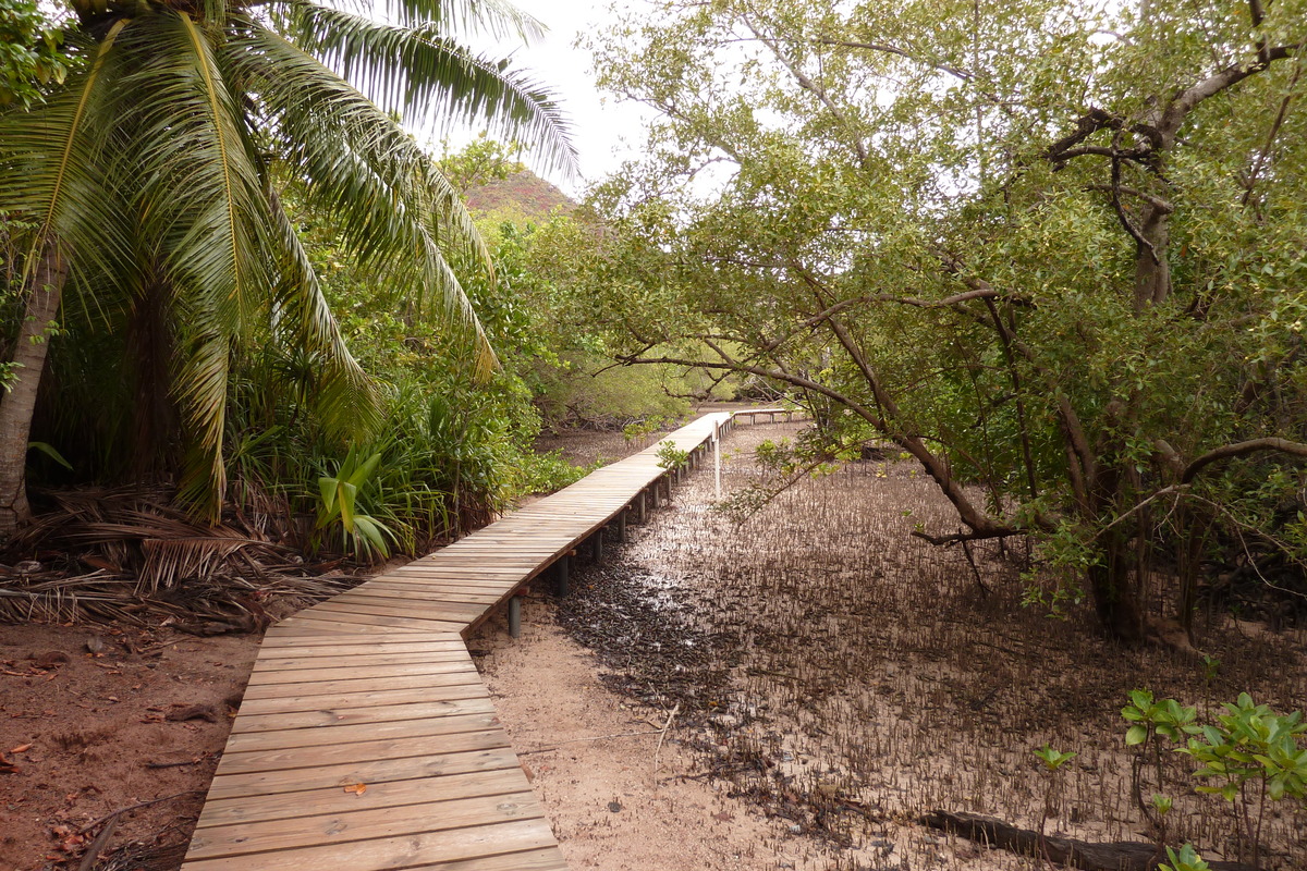 Picture Seychelles Curieuse 2011-10 58 - Hotel Curieuse