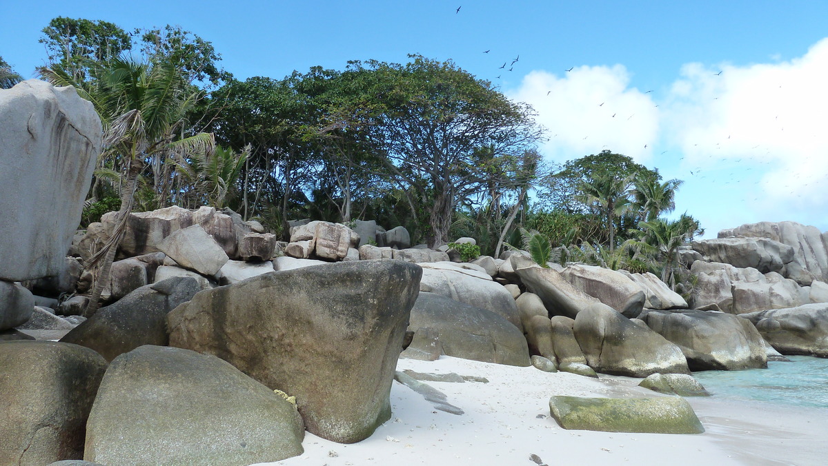 Picture Seychelles Coco Island 2011-10 85 - Rental Coco Island