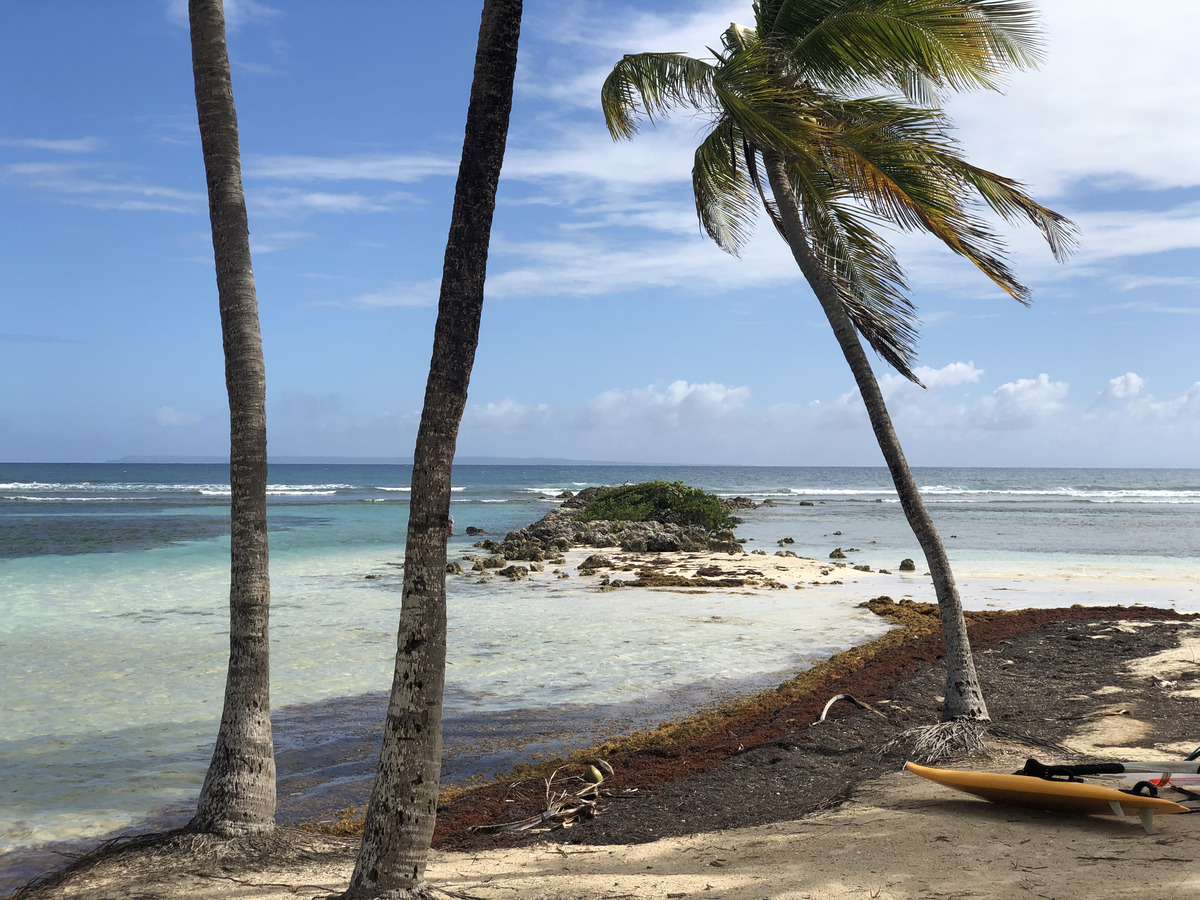 Picture Guadeloupe La Caravelle Beach 2021-02 104 - Lake La Caravelle Beach