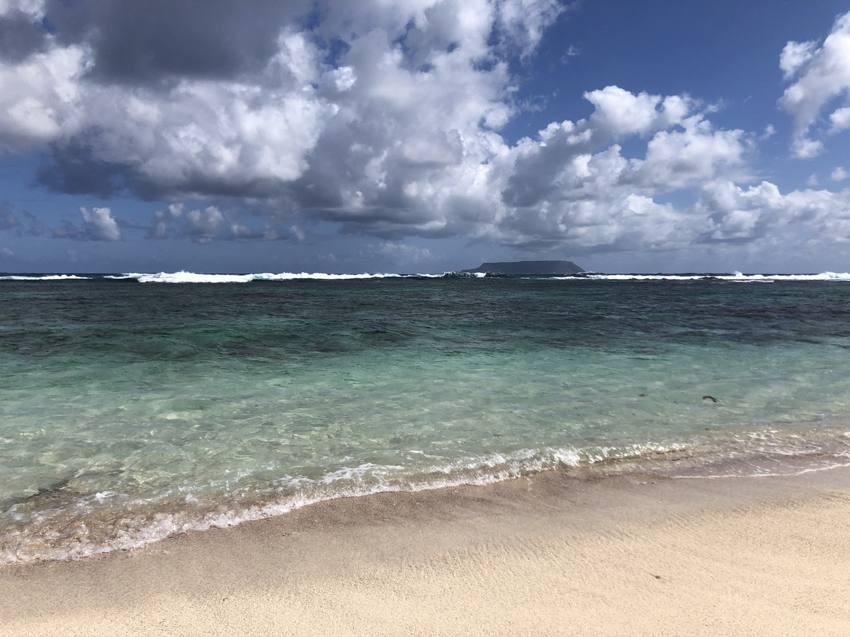 Picture Guadeloupe Grande Anse des Salines Beach 2021-02 2 - Lake Grande Anse des Salines Beach