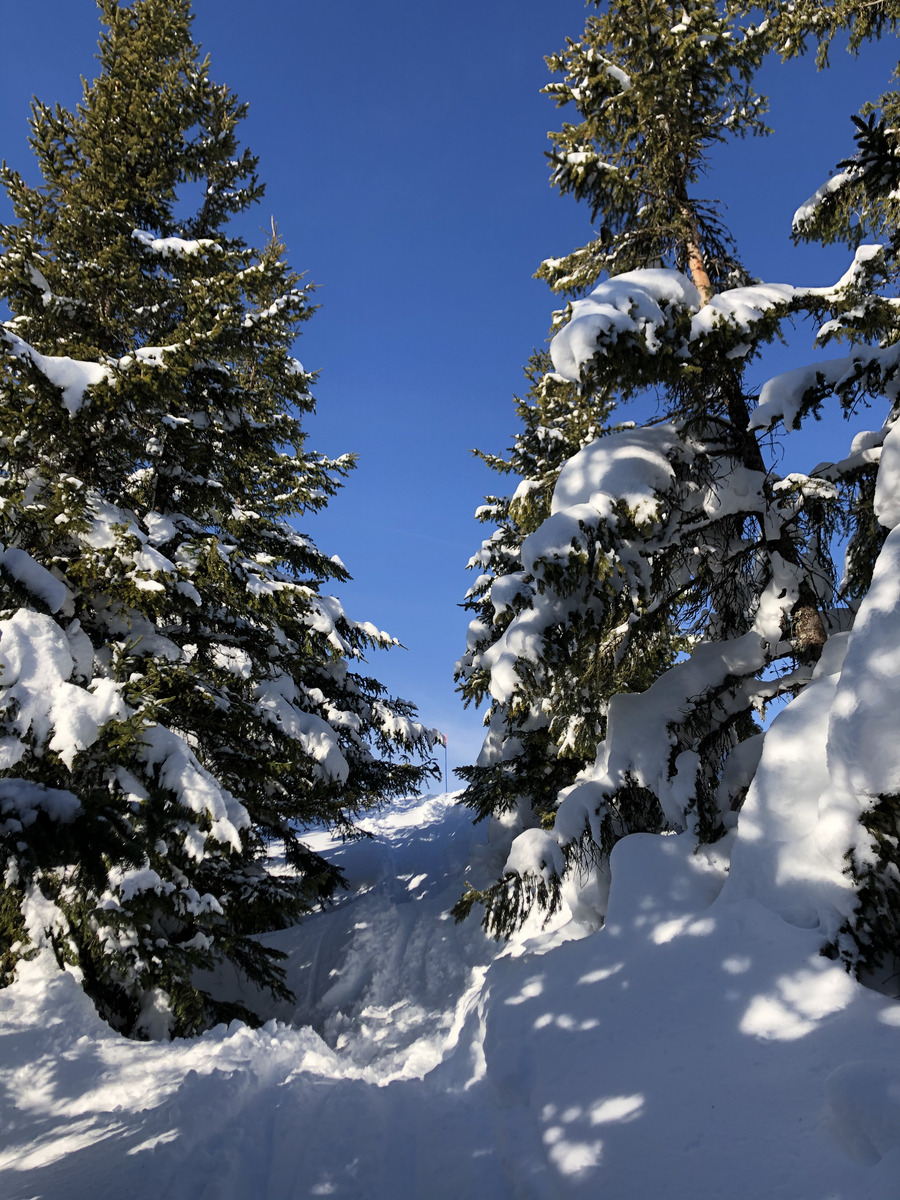 Picture France Praz sur Arly 2019-12 358 - Rain Season Praz sur Arly