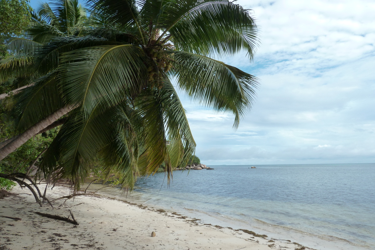 Picture Seychelles Praslin 2011-10 6 - Rain Season Praslin