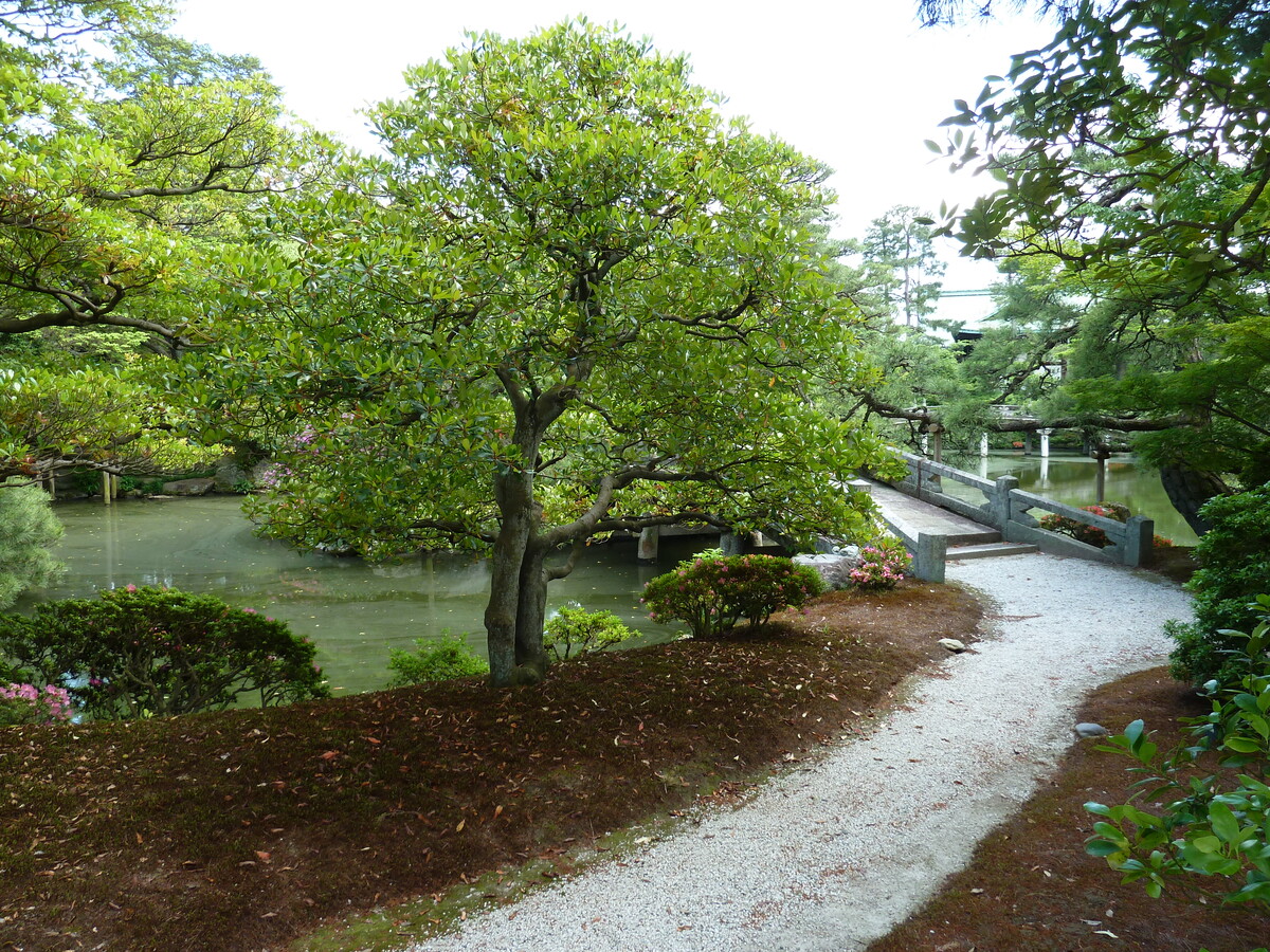 Picture Japan Kyoto Kyoto Imperial Palace 2010-06 31 - Hot Season Kyoto Imperial Palace