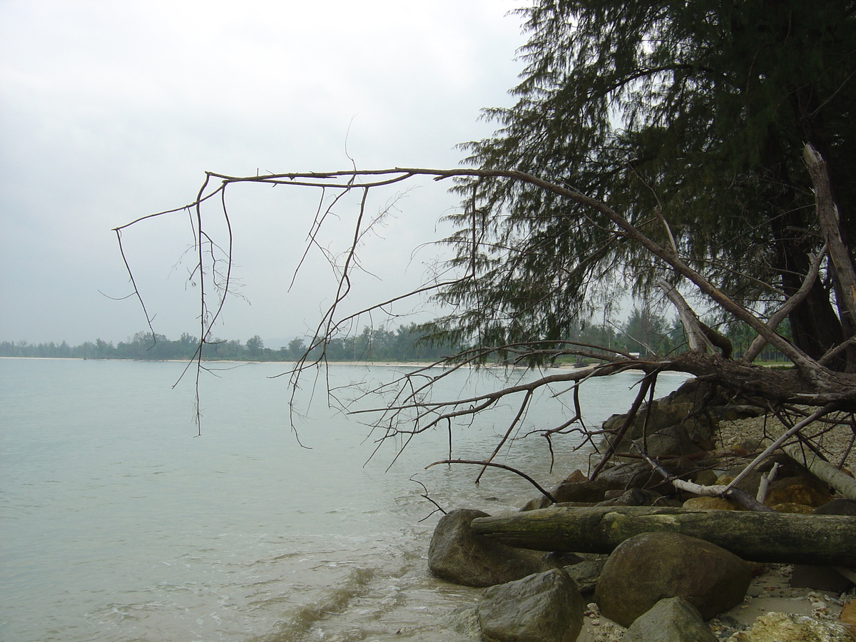 Picture Thailand Khao Lak Bang Sak Beach 2005-12 83 - Monument Bang Sak Beach