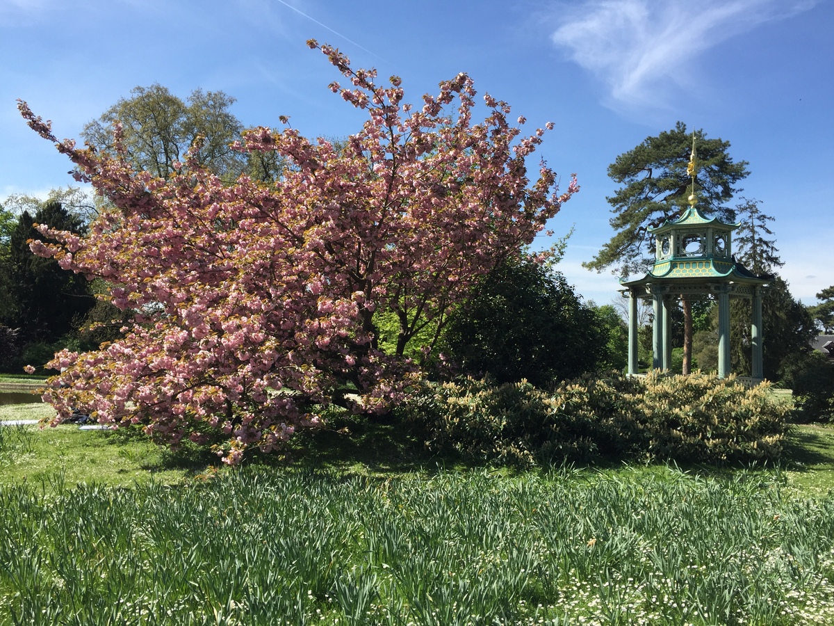 Picture France Paris Bagatelles 2017-04 19 - Weather Bagatelles