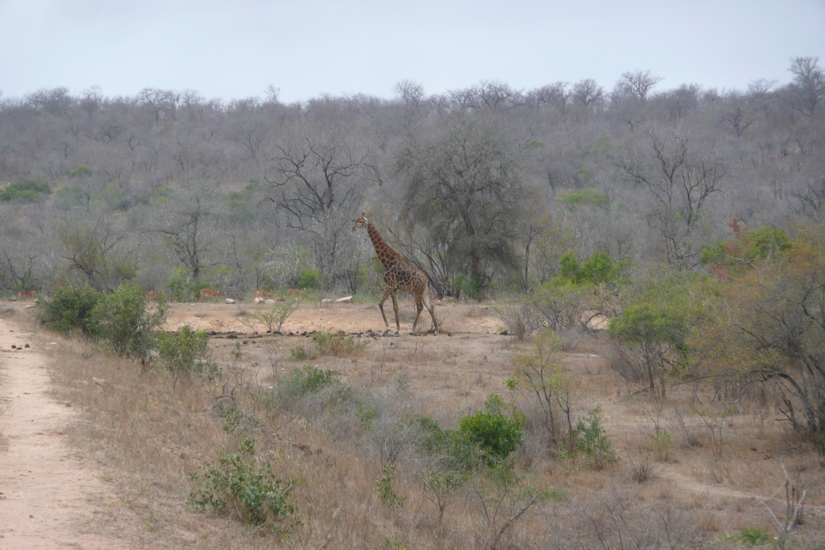 Picture South Africa Kruger National Park Mpondo 2008-09 9 - Weather Mpondo