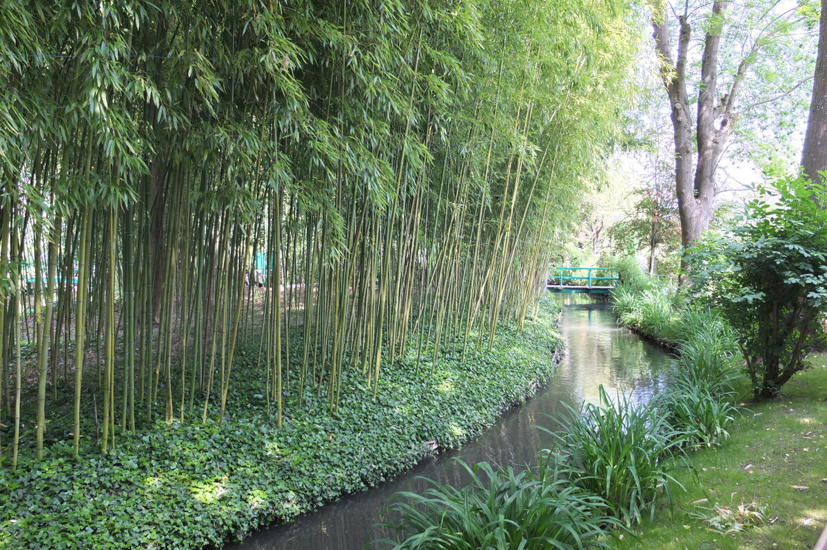 Picture France Giverny 2013-06 99 - Lands Giverny