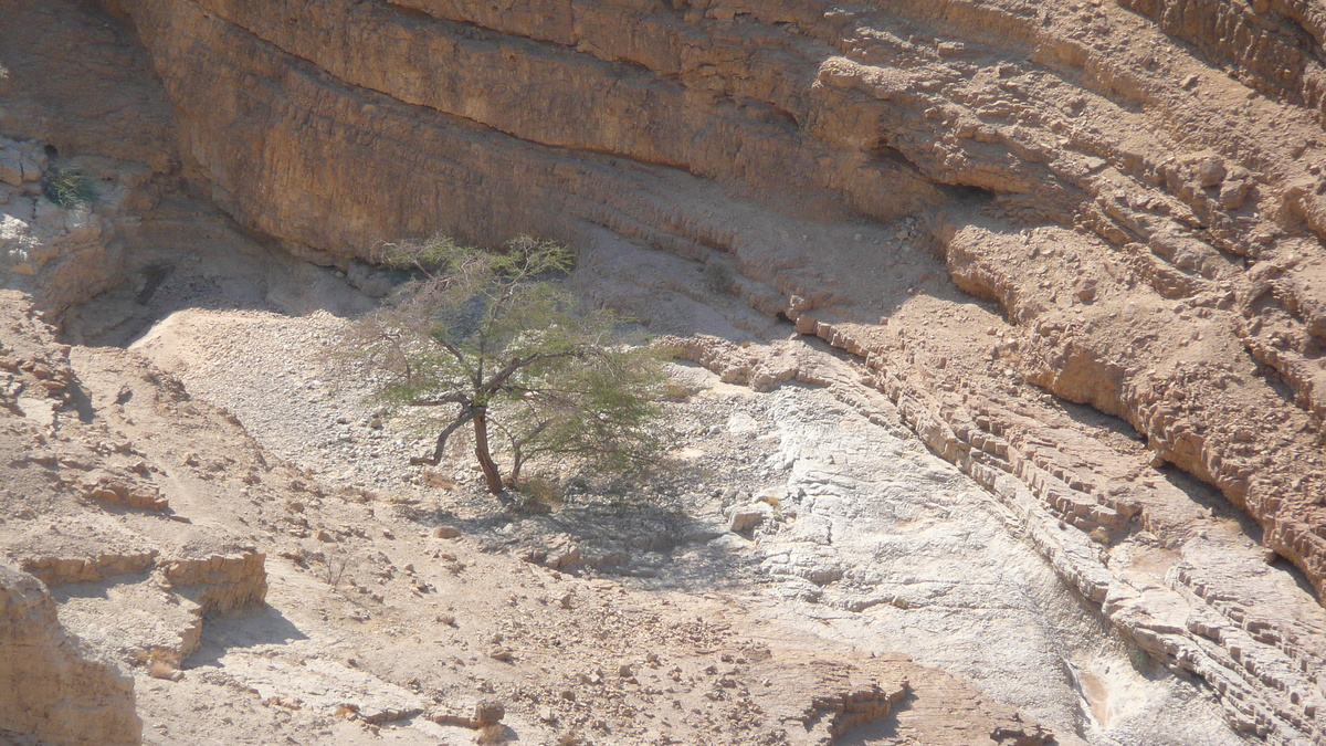 Picture Israel Arad to Dead Sea road 2007-06 105 - Rain Season Arad to Dead Sea road