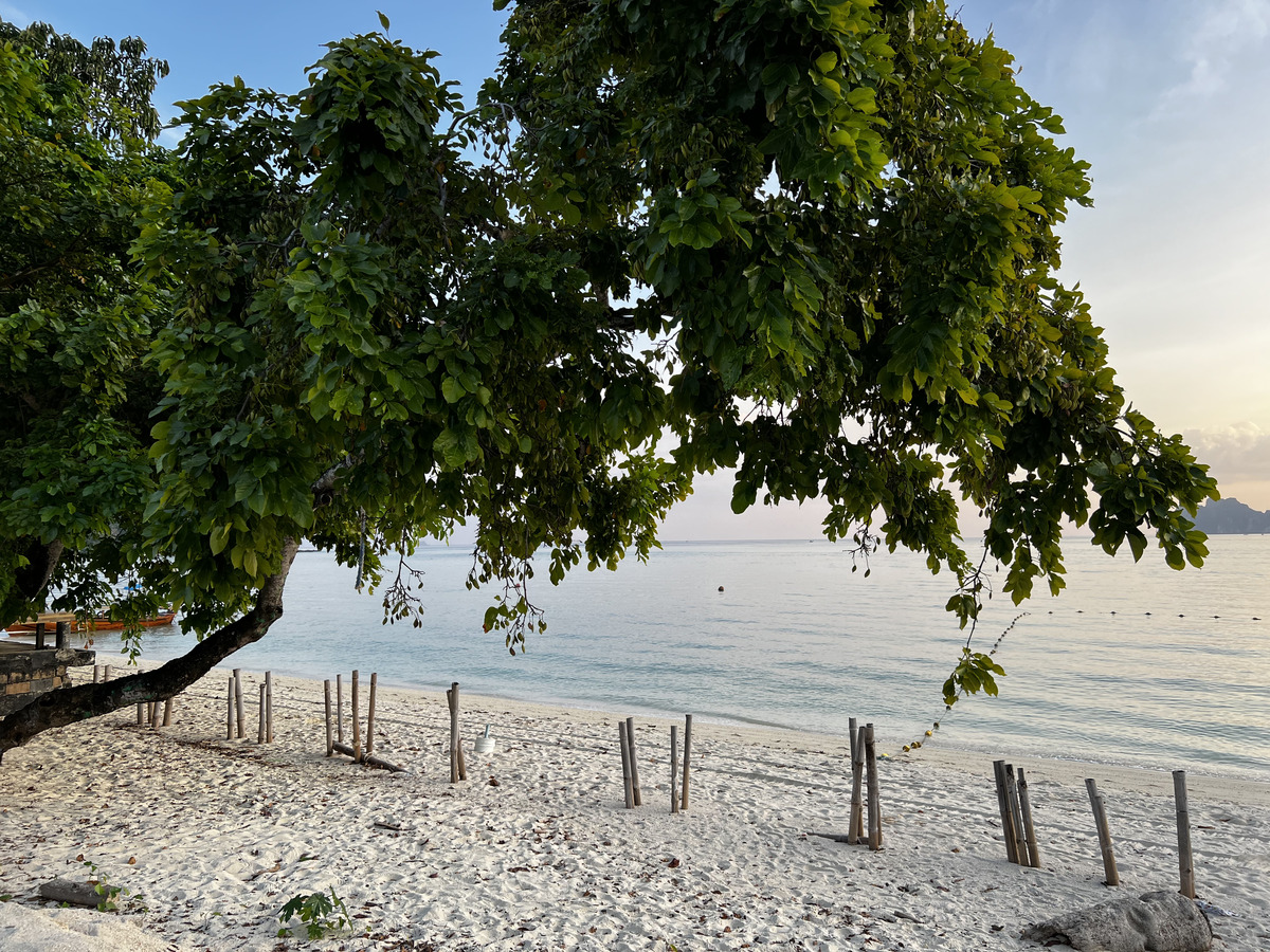 Picture Thailand Ko Phi Phi Don 2021-12 165 - Sauna Ko Phi Phi Don