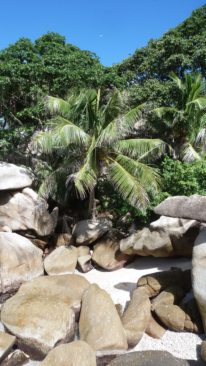 Picture Seychelles Coco Island 2011-10 83 - Hotels Coco Island