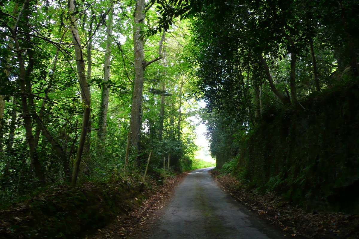 Picture France Brittany roads 2007-08 30 - Sauna Brittany roads