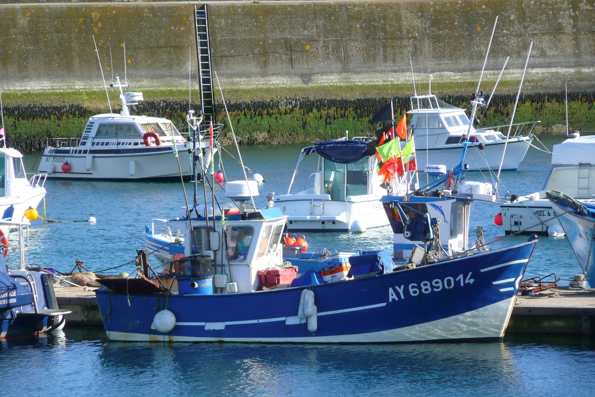 Picture France Quiberon peninsula Quiberon 2008-07 88 - Saving Quiberon