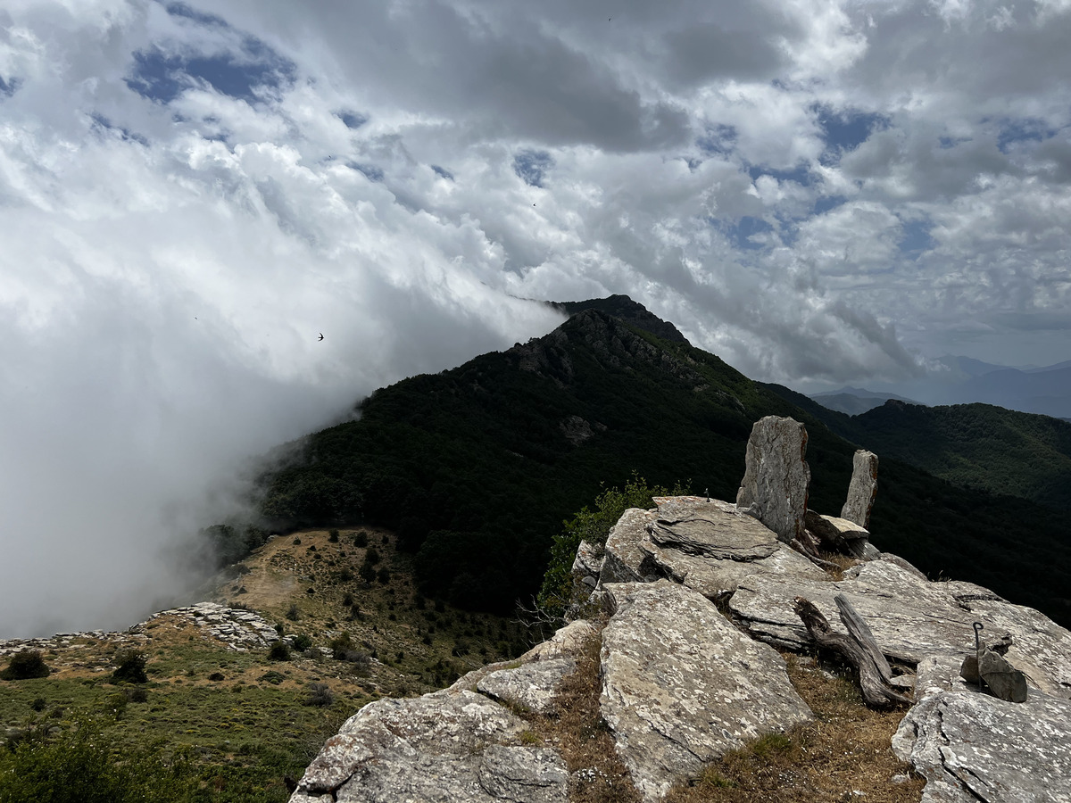 Picture France Corsica Refuge de Callerucciu 2022-06 20 - SPA Refuge de Callerucciu