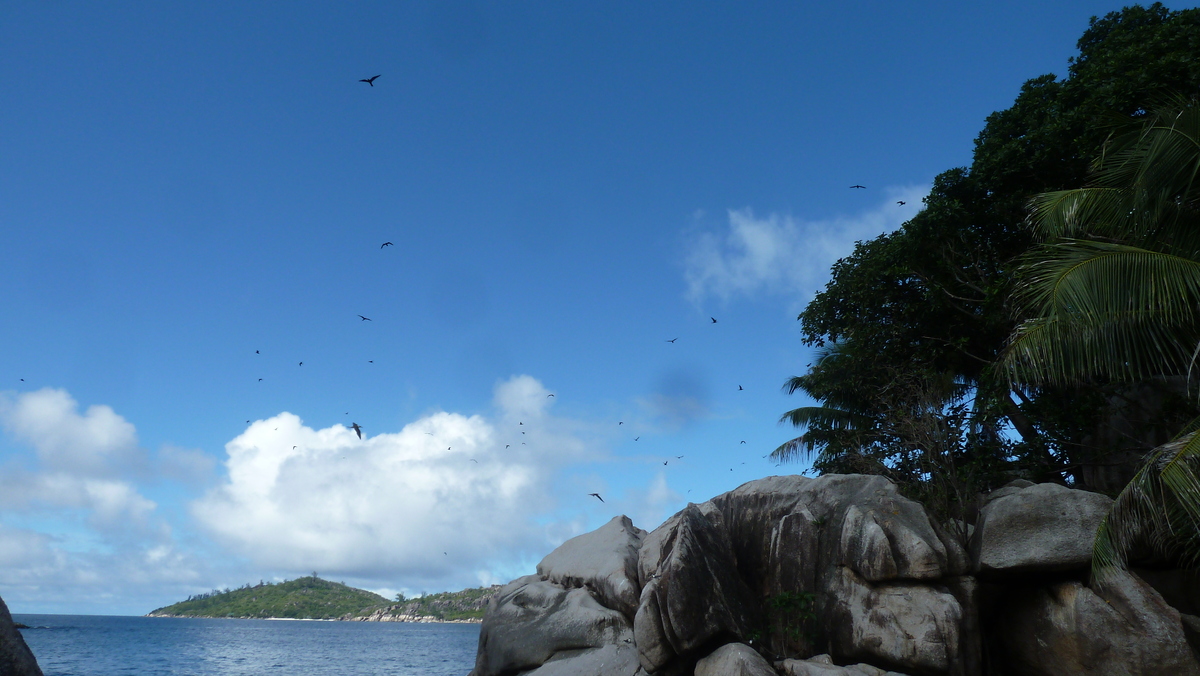 Picture Seychelles Coco Island 2011-10 16 - Lake Coco Island