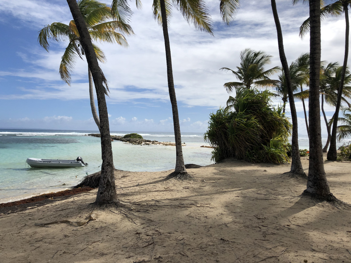 Picture Guadeloupe La Caravelle Beach 2021-02 134 - Sauna La Caravelle Beach