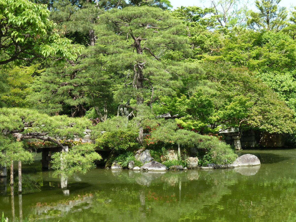 Picture Japan Kyoto Kyoto Imperial Palace 2010-06 60 - Street Kyoto Imperial Palace