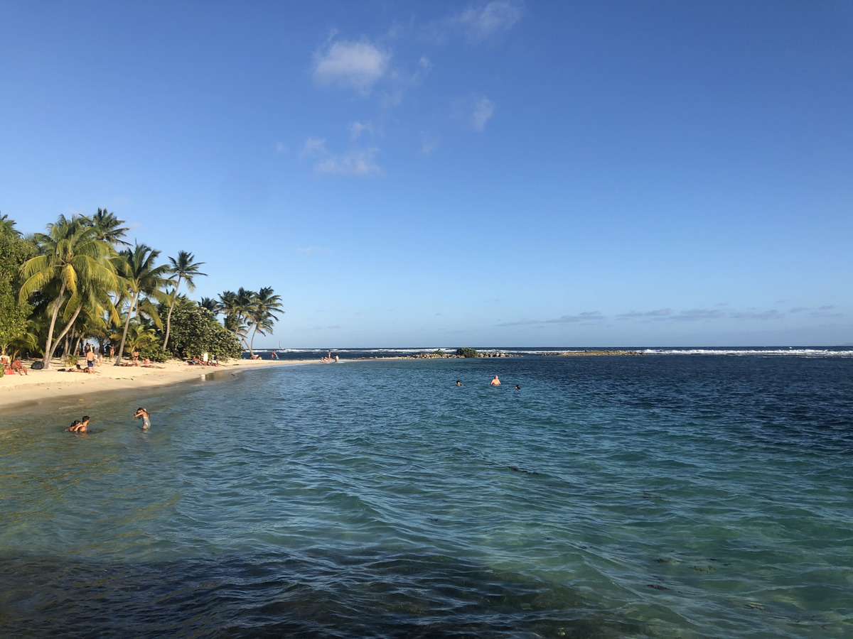 Picture Guadeloupe La Caravelle Beach 2021-02 140 - Sauna La Caravelle Beach