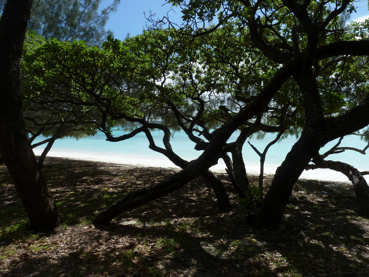 Picture New Caledonia Lifou Luengoni Beach 2010-05 33 - Weather Luengoni Beach