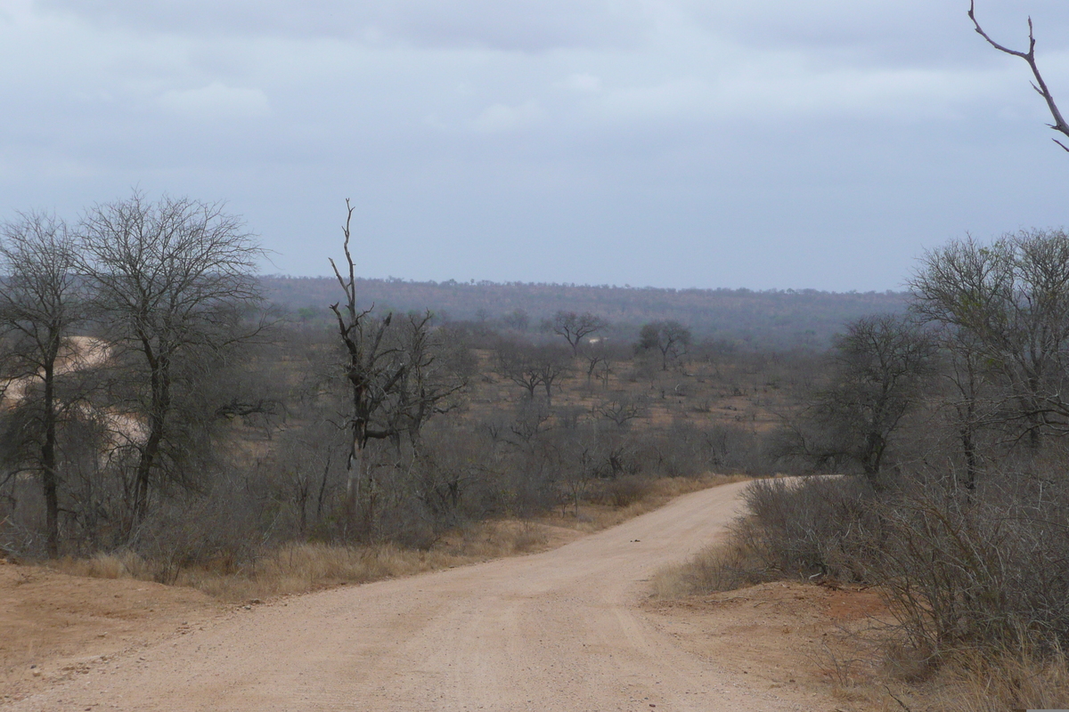 Picture South Africa Kruger National Park 2008-09 122 - Lands Kruger National Park