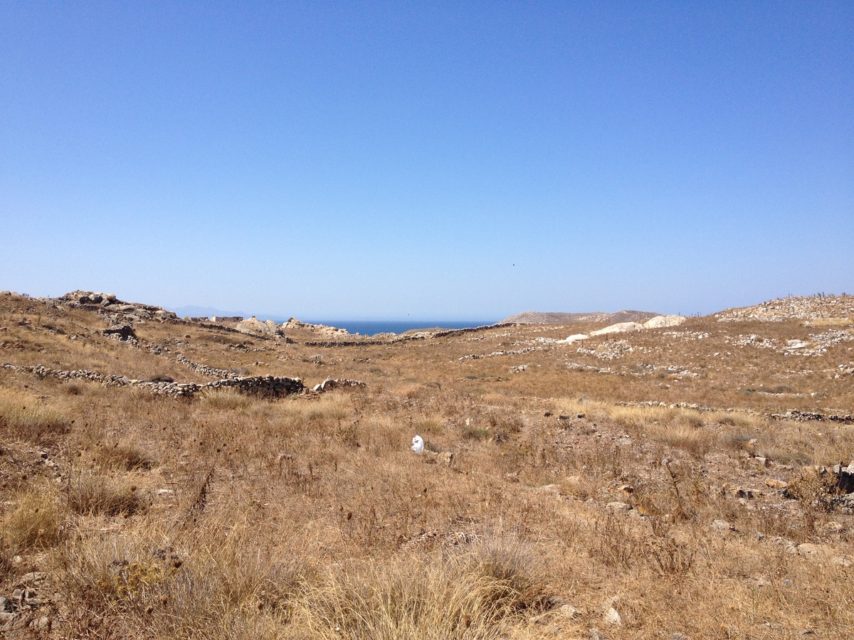 Picture Greece Delos 2014-07 166 - Walking Street Delos