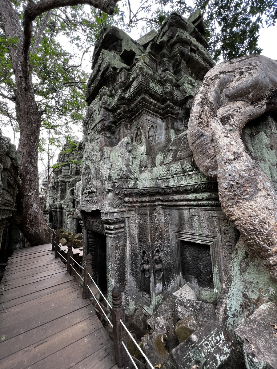 Picture Cambodia Siem Reap Ta Prohm 2023-01 86 - Lands Ta Prohm