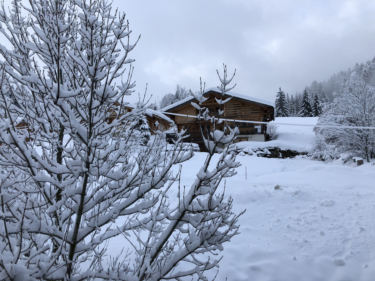 Picture France La Clusaz 2017-12 90 - Summer La Clusaz