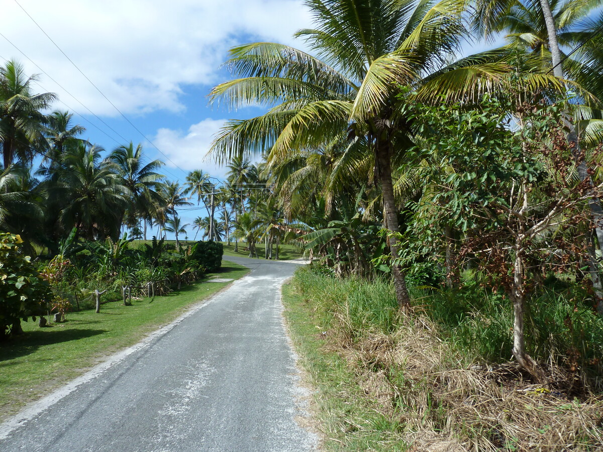 Picture New Caledonia Lifou 2010-05 24 - Lands Lifou