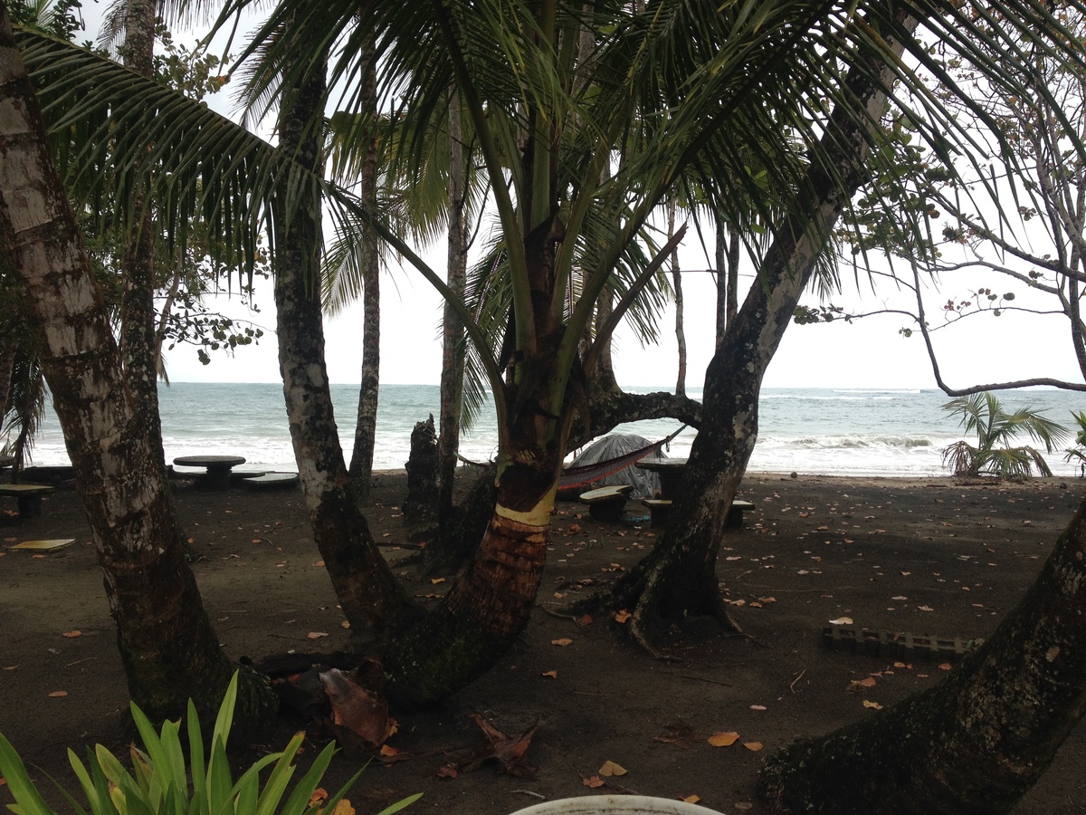 Picture Costa Rica Puerto Viejo de Talamanca 2015-03 76 - Monuments Puerto Viejo de Talamanca