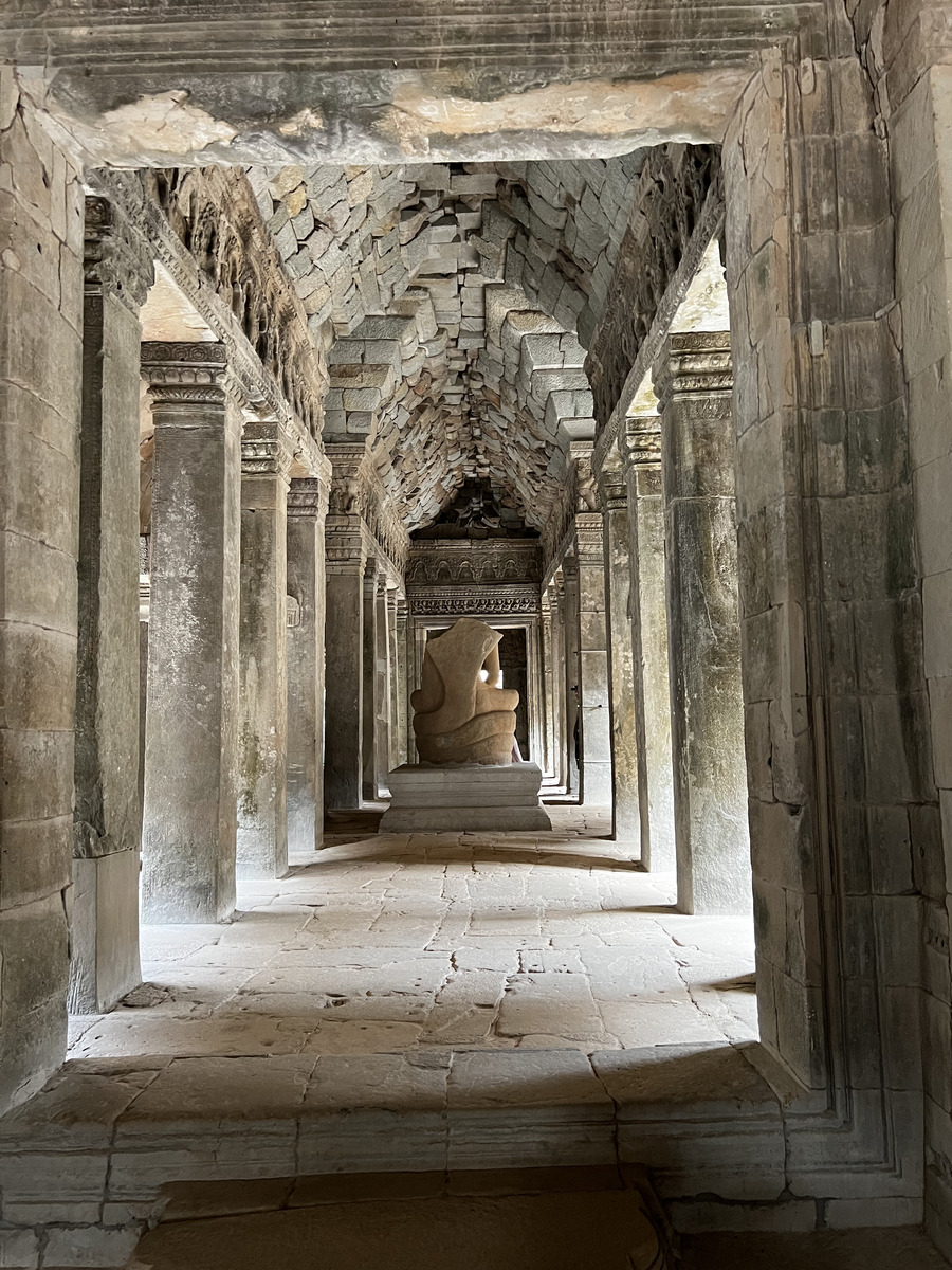 Picture Cambodia Siem Reap Ta Prohm 2023-01 108 - Rain Season Ta Prohm