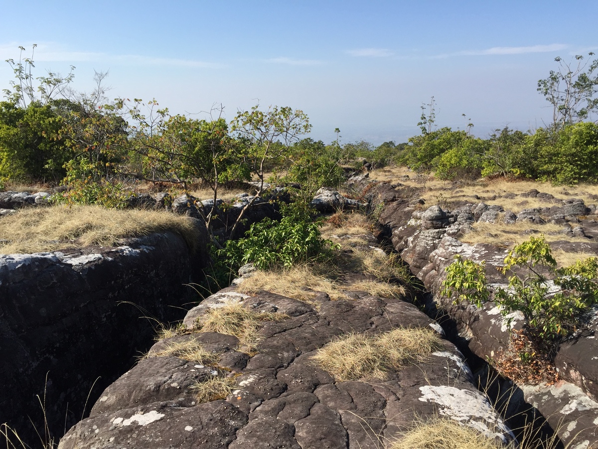 Picture Thailand Phu Hin Rong Kla National Park 2014-12 191 - Rental Phu Hin Rong Kla National Park