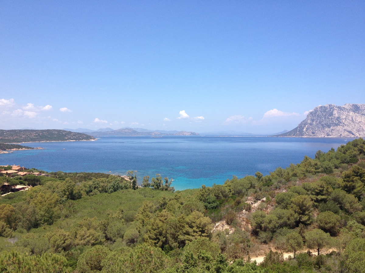 Picture Italy Sardinia Capo Coda Cavallo 2015-06 63 - Hotel Pool Capo Coda Cavallo