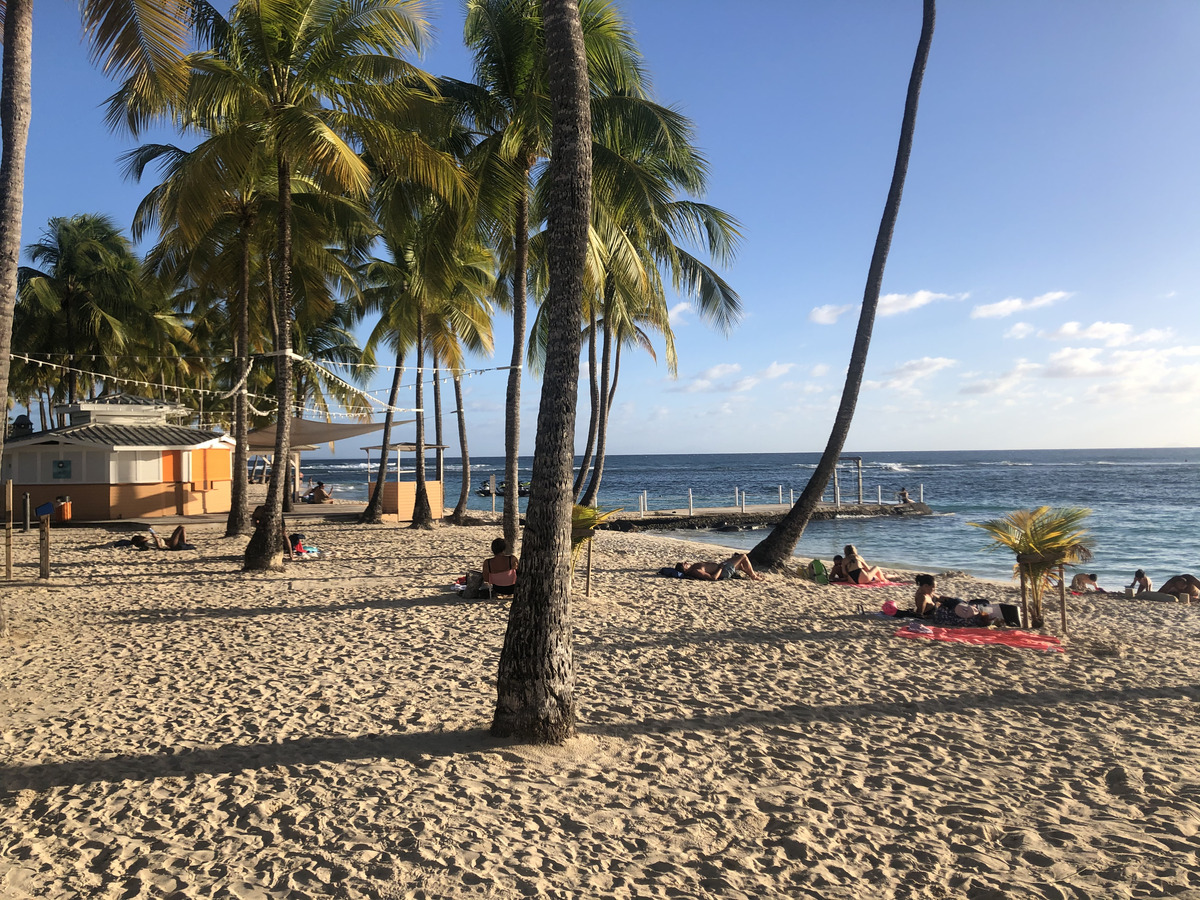 Picture Guadeloupe La Caravelle Beach 2021-02 76 - To see La Caravelle Beach