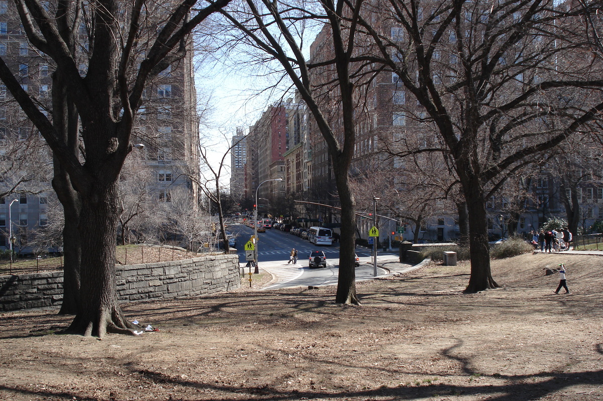 Picture United States New York Central Park 2006-03 3 - Summer Central Park