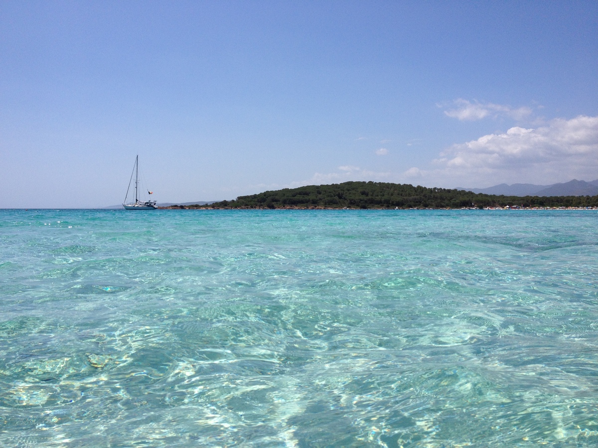 Picture Italy Sardinia Capo Coda Cavallo 2015-06 45 - Hotel Pools Capo Coda Cavallo