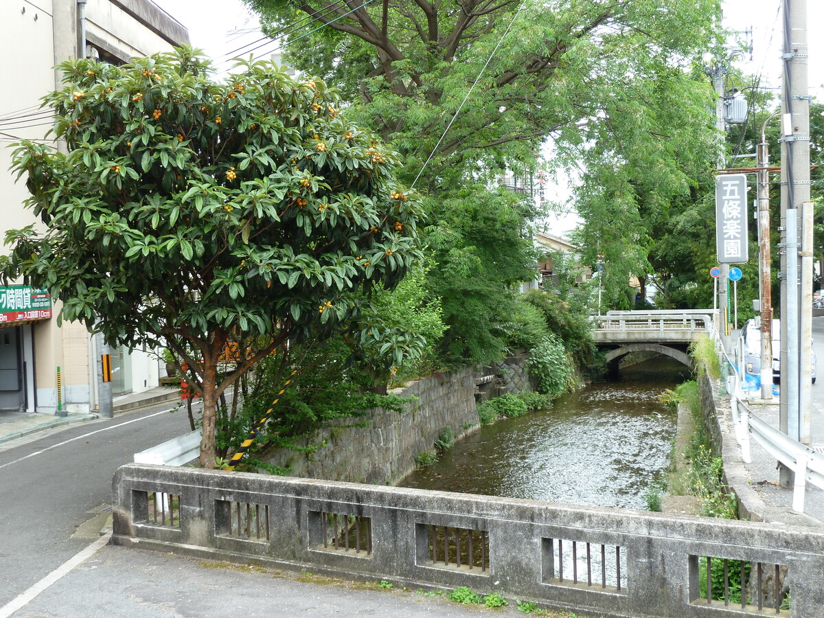 Picture Japan Kyoto 2010-06 82 - Lakes Kyoto