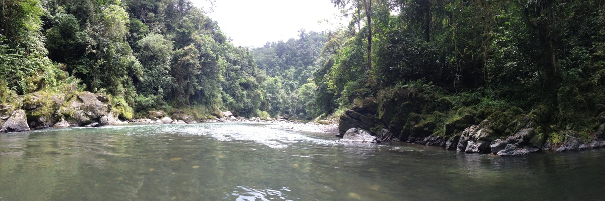 Picture Costa Rica Pacuare River 2015-03 121 - Sauna Pacuare River