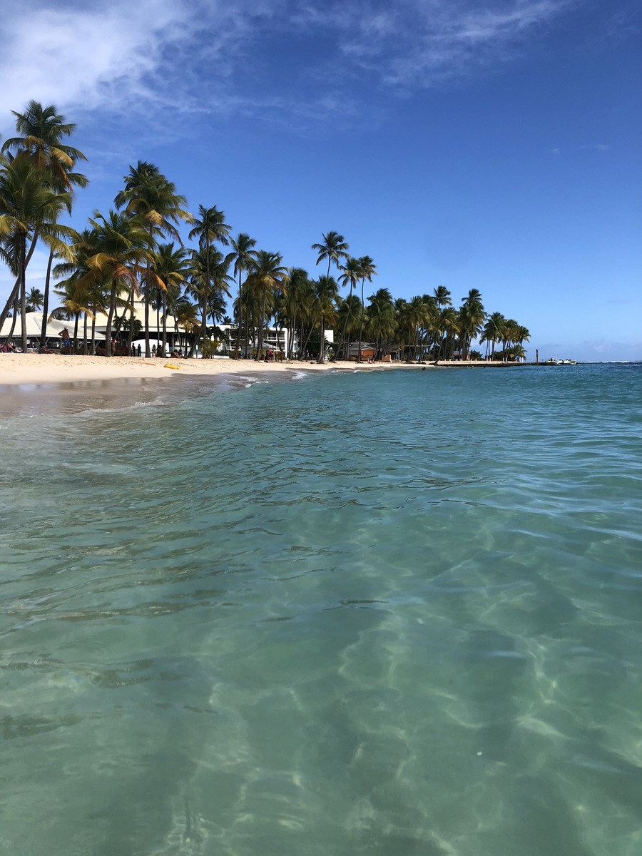 Picture Guadeloupe La Caravelle Beach 2021-02 110 - Room La Caravelle Beach