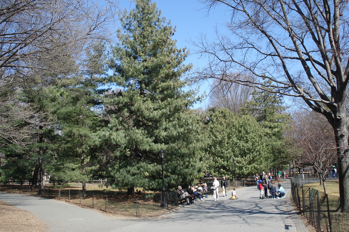 Picture United States New York Central Park 2006-03 36 - SPA Central Park