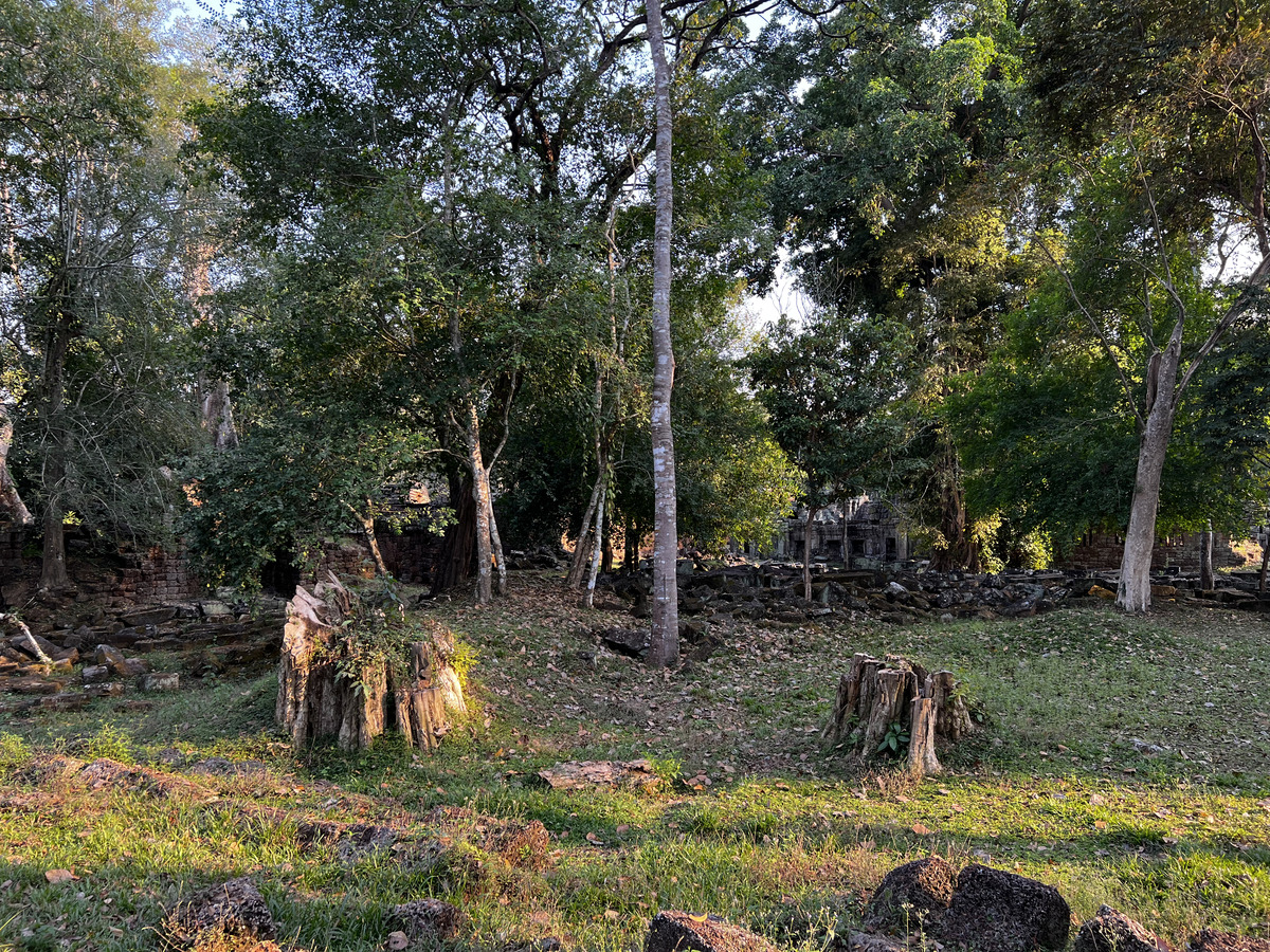 Picture Cambodia Siem Reap Preah Khan 2023-01 64 - Transport Preah Khan