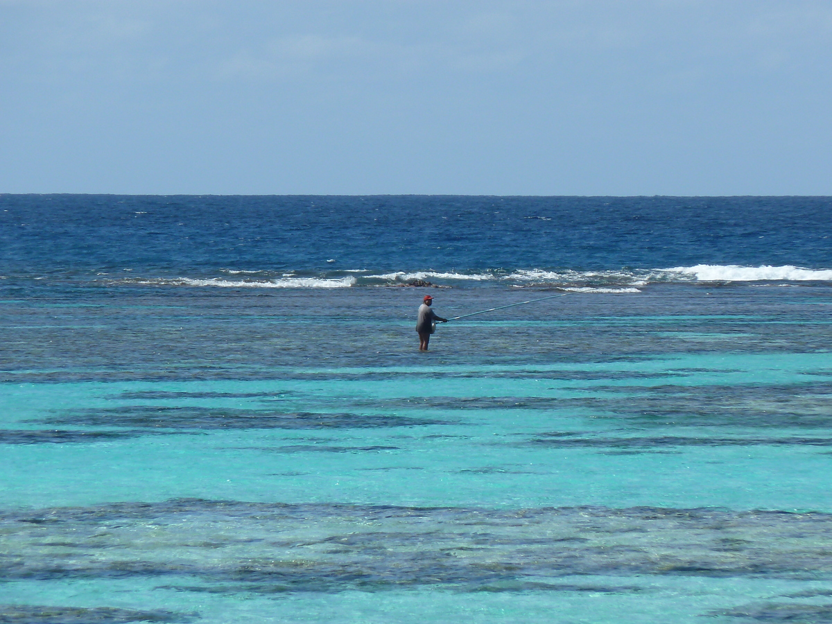 Picture New Caledonia 2010-05 128 - Savings New Caledonia