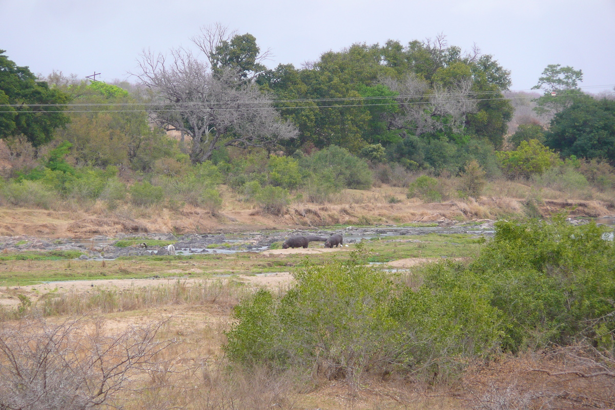 Picture South Africa Kruger National Park Crocodile River 2008-09 2 - Sauna Crocodile River