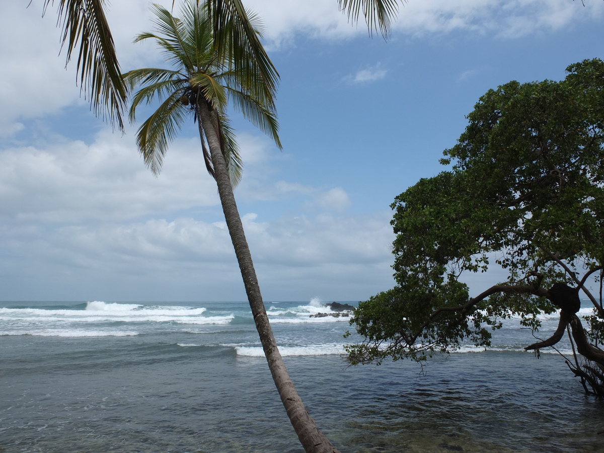 Picture Panama Bastimentos 2015-03 29 - Lake Bastimentos