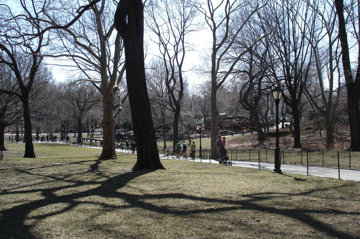 Picture United States New York Central Park 2006-03 22 - Waterfall Central Park