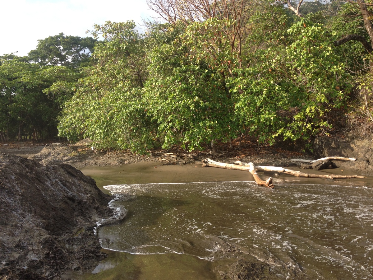 Picture Costa Rica Dominical 2015-03 72 - Weather Dominical