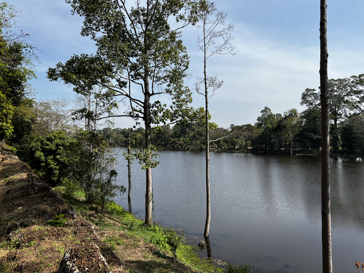 Picture Cambodia Siem Reap Angkor Thom 2023-01 66 - Rain Season Angkor Thom