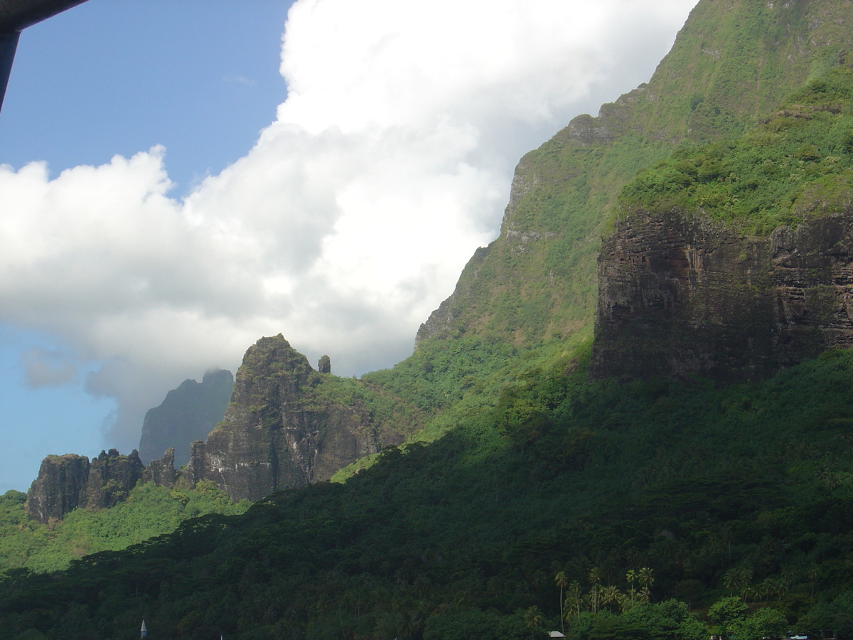 Picture Polynesia Moorea 2006-04 65 - Land Moorea